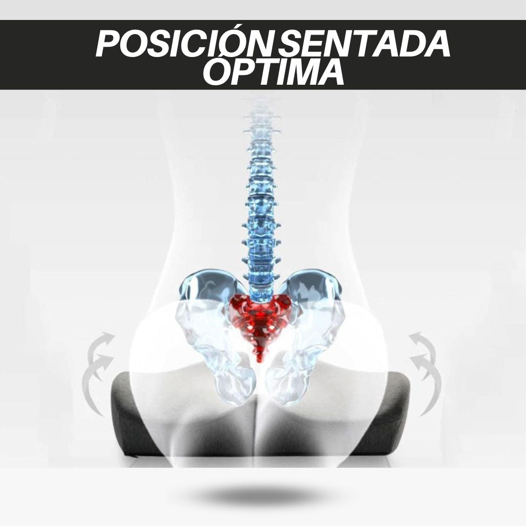 Cojín para asiento premium para el alivio de la presión